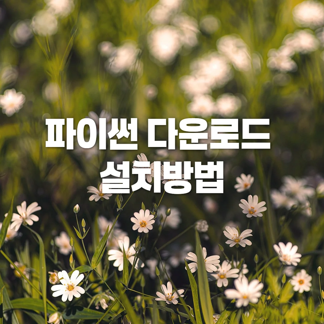 파이썬 다운로드 설치방법